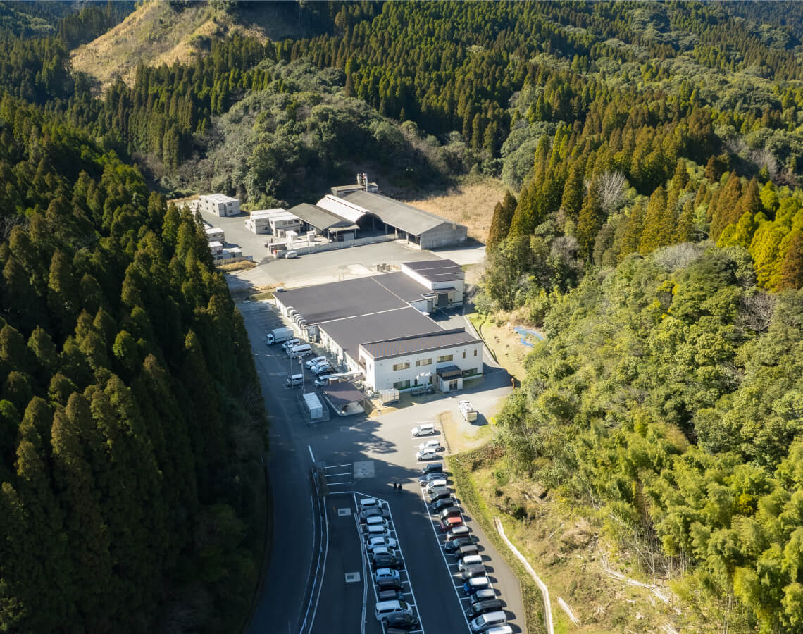 大くす工場